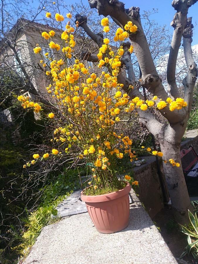 Teggiano Hotel La Congiura Dei Baroni מראה חיצוני תמונה